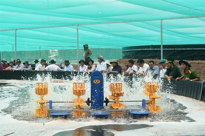 15-29-10_2_nuoi_tom_cong_nghe_co_trong_ho_noi_dng_duoc_p_dung_ti_kien_ging_kh_thnh_cong