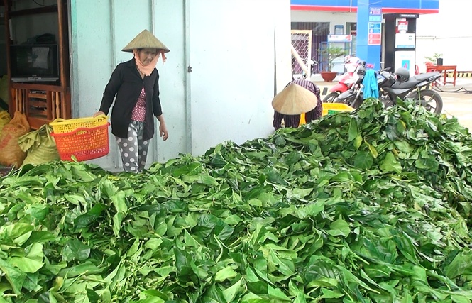 16-00-14_nh_ngnh_chuc_nng_c_mu_phi_theo_doi_cht_che_viec_thu_mu_nong_sn_bt_thuong_de_kip_thoi_xu_ly