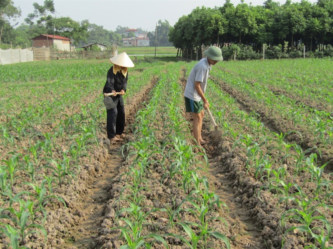 10-21-37_chm-soc-ngo-dong-vinh-phuc