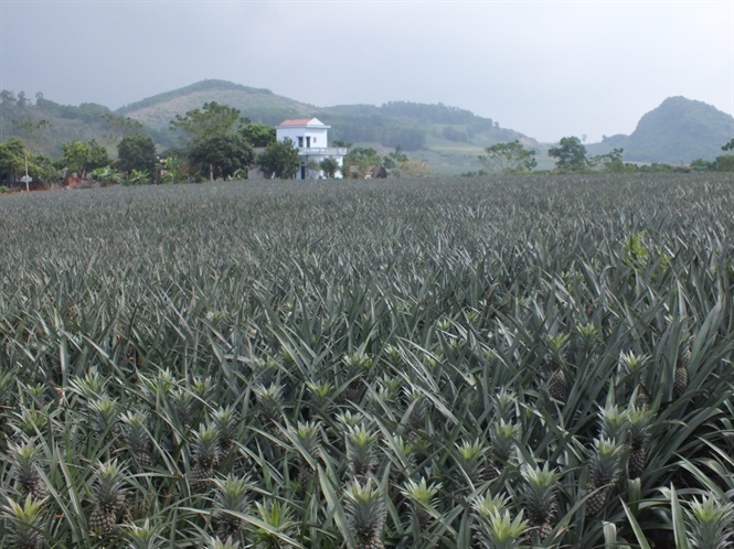 15-07-37_dscf6092