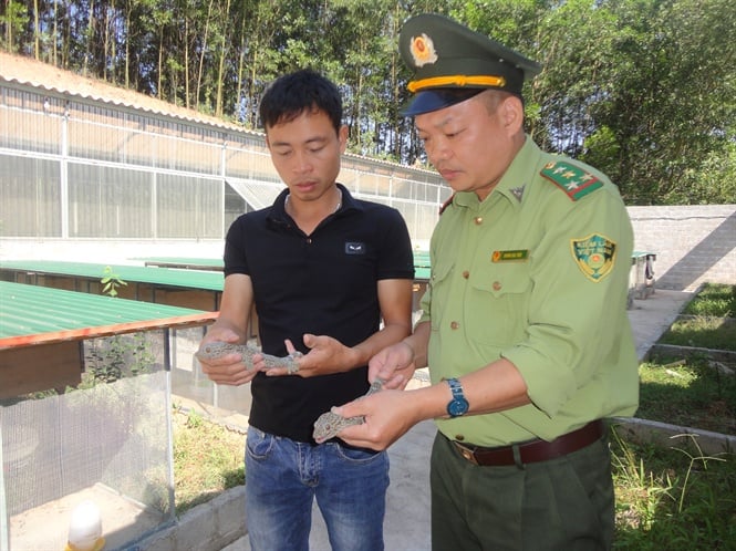 08-12-02_nh_1_nh_ngoc_vn_vien_tro_doi_kinh_nghiem_gy_nuoi_sinh_sn_loi_tc_ke_voi_kiem_lm_bc_ging