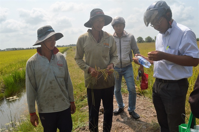 18-02-44_3_mot_so_dien_tich_lu_cu_nong_dn_x_ho_dien_d_co_du_hieu_bi_thiet_hi_gim_nng_sut_do_bi_nhiem_mn