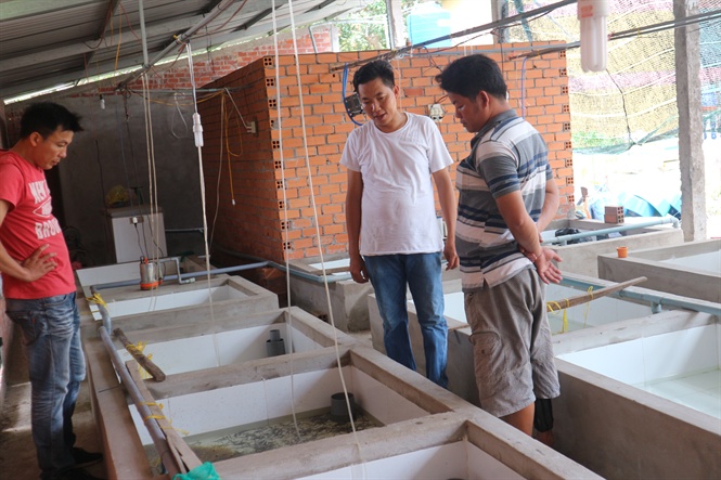 07-51-30_2_khch_hng_thm_qun_mo_hinh_nuoi_luon_giong_cu_nh_tm
