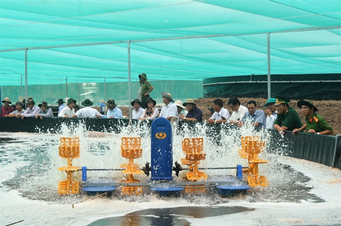 16-33-44_2_don_dnh_gi_rt_co_mo_hinh_nuoi_tom_tren_ho_noi_nuoi_dt_hieu_qu_rt_co_trong_khi_chi_phi_du_tu_khong_qu_lon_phu_hop_voi_kinh_te_ho_1