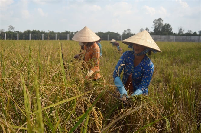 08-25-58_1_nhung_co_thon_nu_khmer_dng_dung_vong_gt_hy_con_goi_l_kn_dieu_de_ct_lu_1