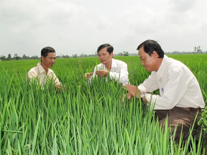 15-43-22_nh_-_nong_dn_duoc_do_to_nghe_nong_thon