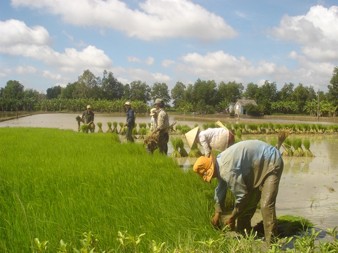 14-01-49_ti_co_cu_lu_go_di_dung_huong