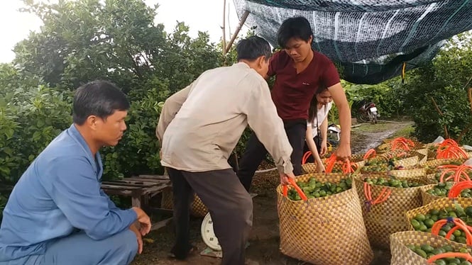 08-57-01_nh_vuon_boi_thu_vi_trung_mu_chnh
