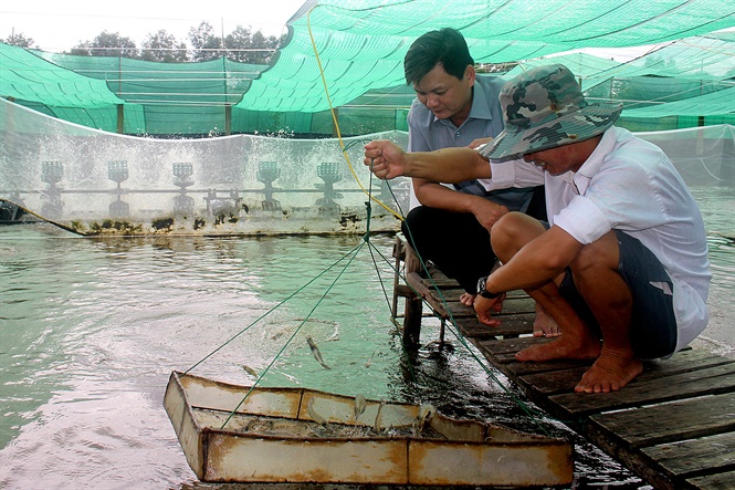 15-03-13_1_hieu_qu_kinh_te_tu_nuoi_tom_sieu_thm_cnh_hien_rt_co