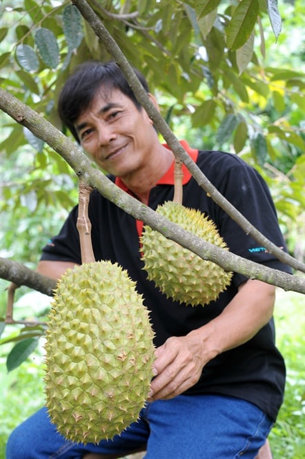 14-34-36_nh_3_-_moi_nm_nh_lm_bo_tieu_su_rieng_khong_320_h