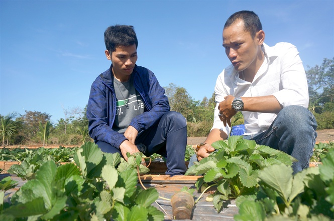 08-45-08_nh_hieu_o_trng_tu_vn_ky_thut_trong_du_ty_cho_khch