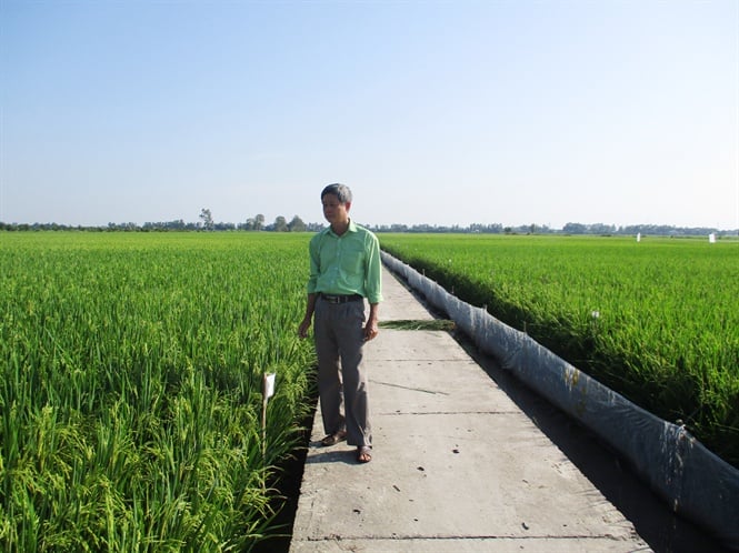 10-05-32_nh_2_-_ton_cnh_tri_thuc_nghiem_n_phong