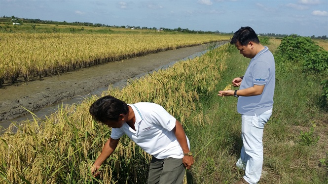 22-26-08_bi_6_-_photo_2_-_nh_nguyen_vn_binh_tro_doi_voi_ky_su_cu_syngent_tren_mo_hinh_cnh_tc_lu_-tom