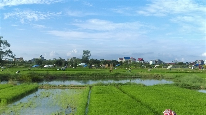 13-01-04_nh_1 13-01-04_nh_1