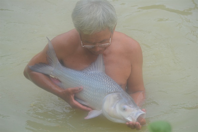 07-41-51_c_ho_l_vt_nuoi_mng_li_hieu_qu_kinh_te_co