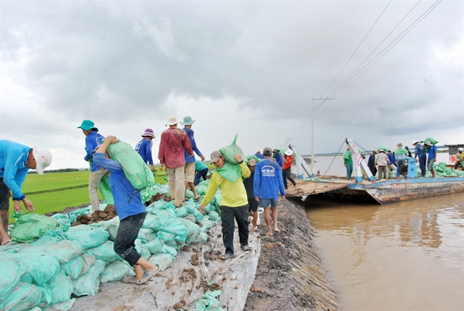 14-57-52_nh_1_ngnh_nong_nghiep_tinh_n_ging_cung_nguoi_dn_de_gi_co_de_bo_nhm_phuc_vu_sx_lu_td_dm_bo_n_ton