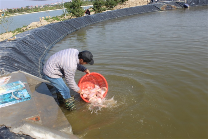 09-04-09_th_c_giong_trong_be_nuoi_cong_nghe_isrel