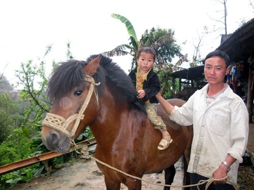 ke-chuyen-du-ngu-bc-h-3111025875
