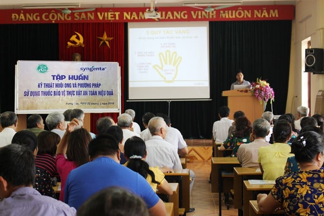 17-28-07_bi_8_-_photo_1_-_syngent_tp_hun_su_dung_thuoc_bvtv_n_ton__hieu_qu_cho_nong_dn_v_nguoi_nuoi_ong_