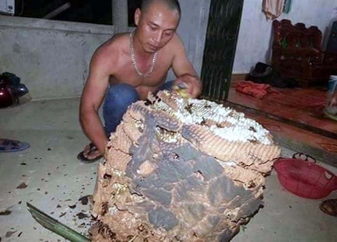 07-34-42_chien_tich_cu_mot_tho_sn_ong_chn_ti_x_thnh_thuy
