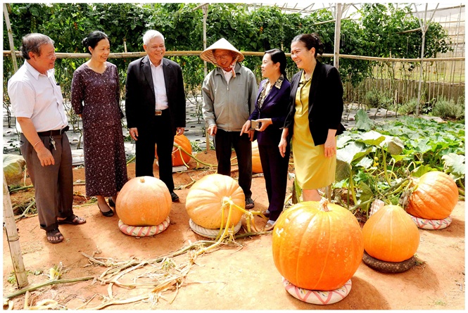 13-01-00_4_nh_nong_le_huu_phn_tro_doi_kinh_nghiem-h_huu_net 13-01-00_4_nh_nong_le_huu_phn_tro_doi_kinh_nghiem-h_huu_net