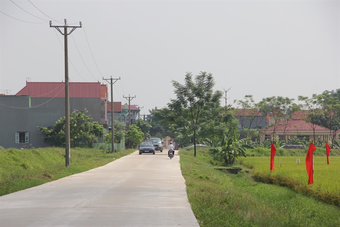 09-54-20_nh_1_dot_ph_trong_du_tu_xy_dung_h_tng_kinh_te_-_x_hoi_to_dien_mo_khng_trng_tuoi_dep_cho_nong_thon
