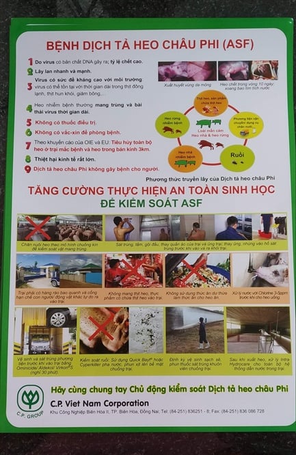 14-42-43_dich_t_heo_chu_phi