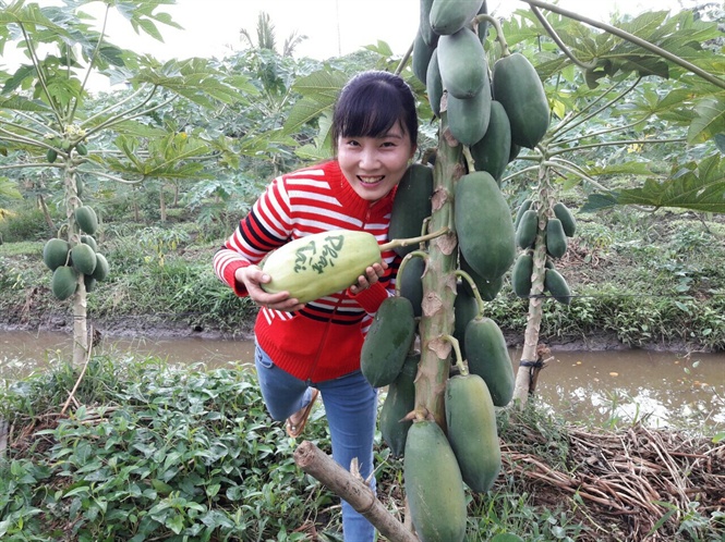 06-40-42_4_chi_nguyen_thi_cm_nhung_chu_vuon_du_du_gioi_thieu_tri_du_du_in_chu_d_dt_yeu_cu