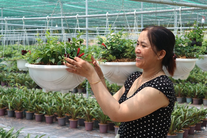 13-55-29_1_chi_nguyen_thi_ng_dng_chm_soc_cc_loi_ho_treo_kieng_treo