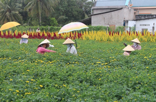 14-05-50_nguoi_dn_x_tn_thieng_huyen_cho_lch_chm_soc_ho_kieng_nh_thnh_lp