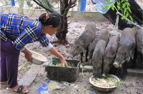 18-08-40_chi_nguyen_thi_huy_dng_chm_soc_dn_lon_cu_minh