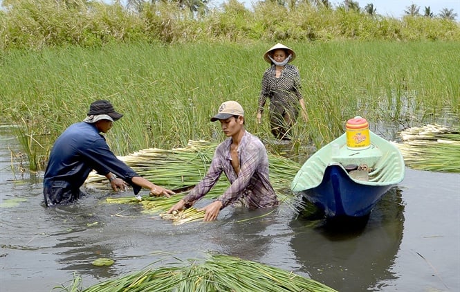 10-50-04_1_nguoi_dn_di_phuong_thu_hoch_bon_bon