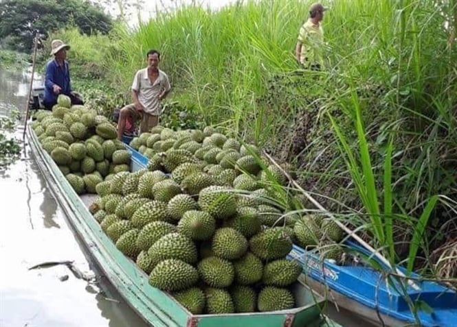 13-56-40_sx_tri_cy_sch_gop_phn_to_dung_duoc_vi_the_sn_phm_tren_thi_truong_kho_tinh