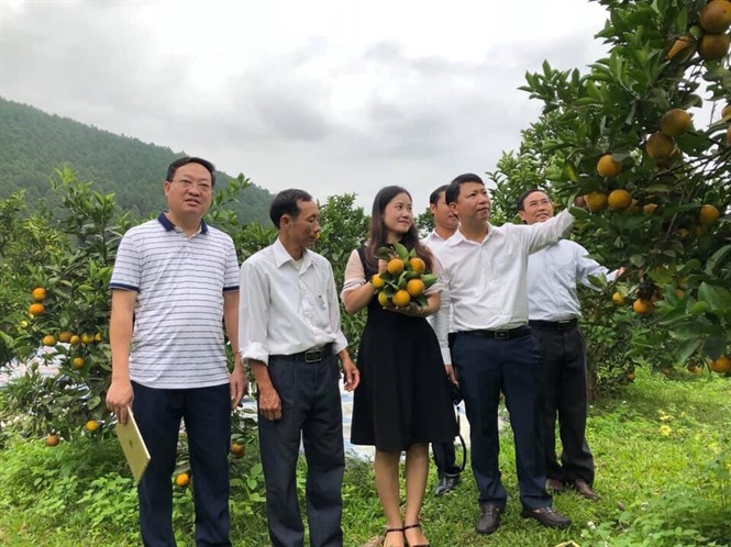 15-10-55_nhieu_vi_ngot_cu_nhung_trng_tri_kinh_te_bc_ty_tu_nguon_von_gribnk