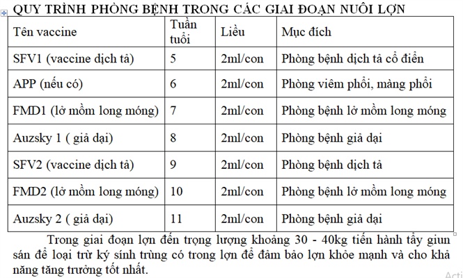 12-20-19_quy-trinh-vcxin-dbco