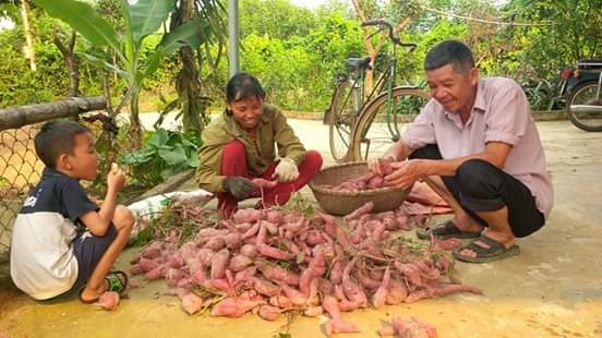 09-53-11_vo_chong_luong_xun_ky_phn_khoi_vi_trong_khoi_cho_thu_nhp_co_hon_trong_lu