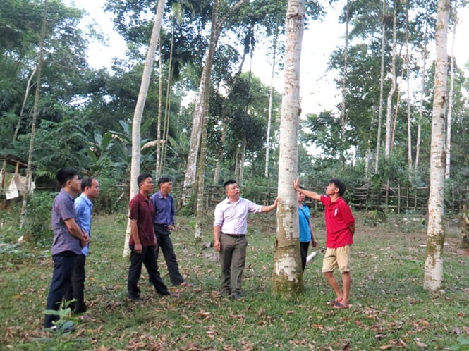 img-0698-web153212737