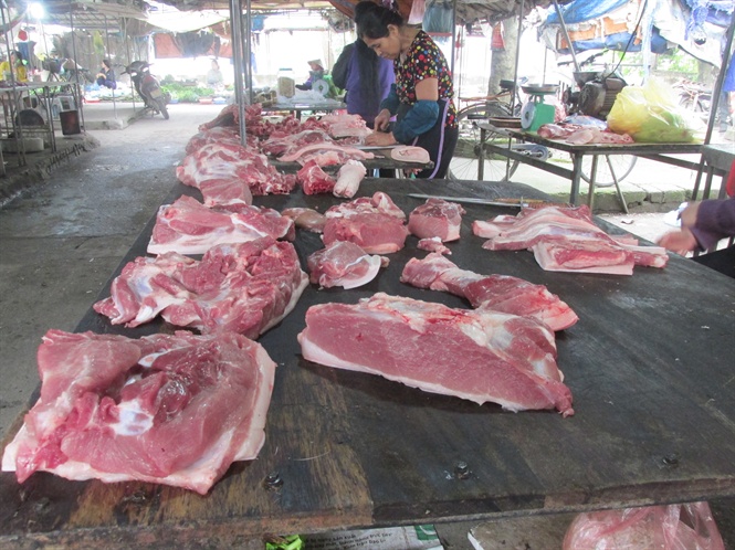 09-04-25_lon_sch_vn_hut_khch_mu