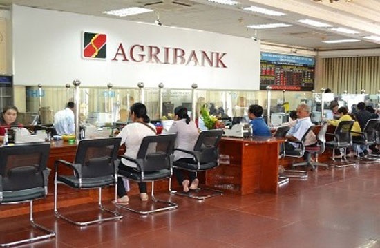 16-31-48_gribnk-2