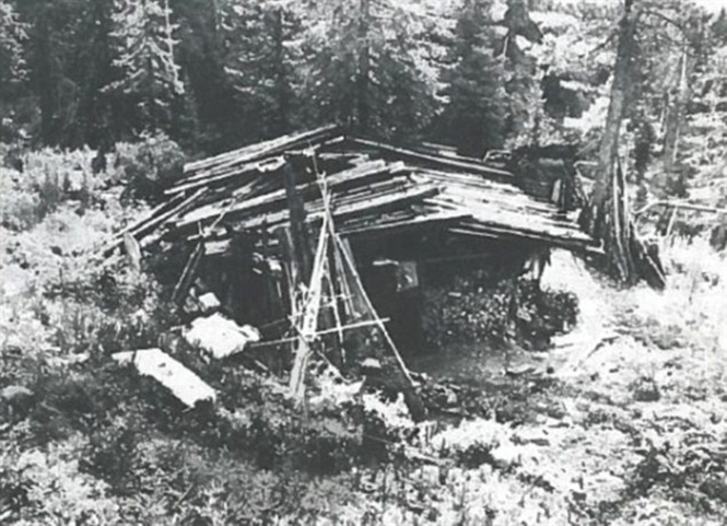 nh2144943550
