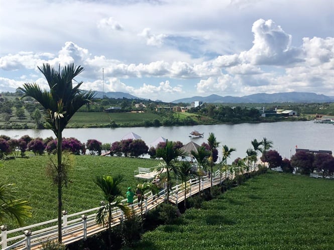 11-10-19_vuon_tr_lonng_dinh_3