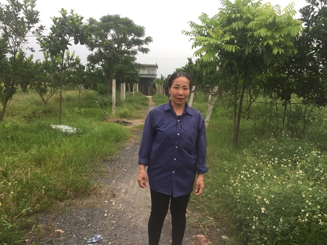 12-33-45_don-dien-doi-thu-02