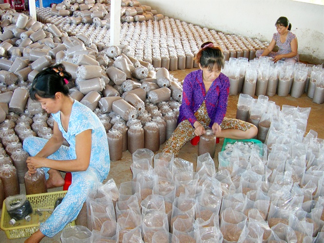 14-31-56_nh_-_do_to_nghe_sx_nong_nghiep_cho_nong_dn_ti_dong_thp