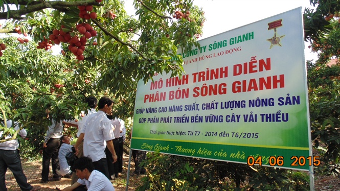 sg4171530440