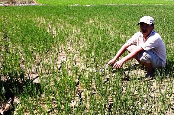 18-22-56_nong_dn_lo_lng_vi_ruong_dong_nut_ne_thieu_nuoc_tuoi_trong_vu_he_thu_nm_2019