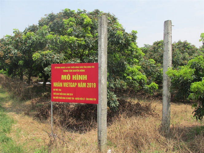 15-22-04_mo_hinh_trinh_dien_sn_xut_nhn_vietgp_