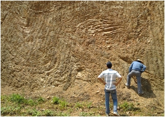 d1101246979