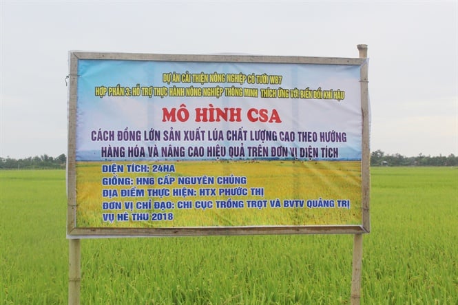 08-53-11_qt-_thong_minh_2