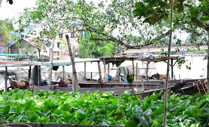 13-13-17_5_nuoc_song_mekong_dng_o_muc_thp_phu_s_rt_it