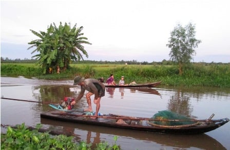 Ông Tuấn bắt đầu công việc phát cỏ, ủ lươn của mình trên chiếc xuồng máy này